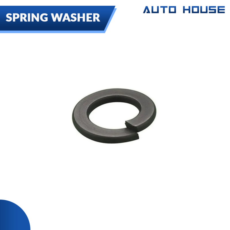 SPRING WASHER STEEL METAL (Ittefaq) 6MM Box